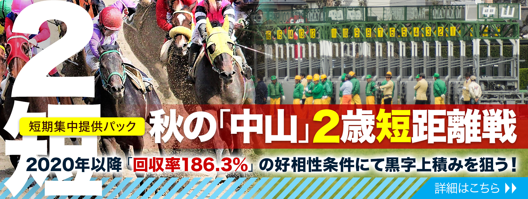 馬券マネジメント｜コンテンツ促しバナー『秋の「中山」2歳短距離戦』